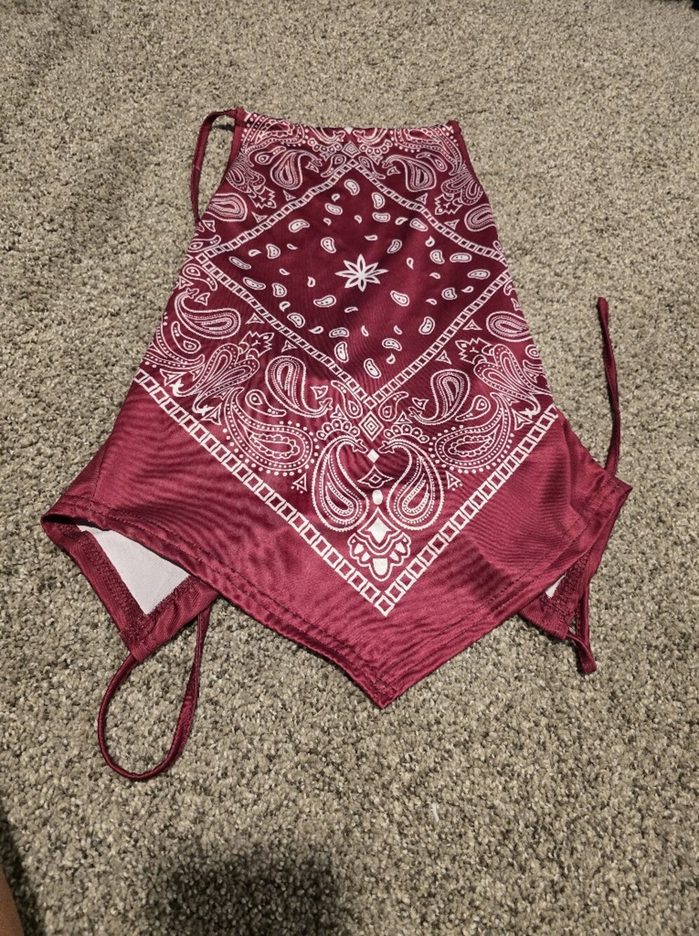 Bandana Print Burgundy Crop Top